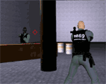 Virtual Cops
